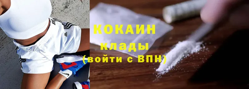 купить наркотики цена  Лабытнанги  Cocaine Fish Scale 