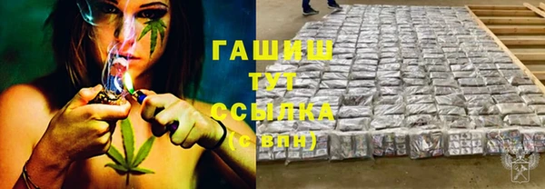 крисы Новодвинск