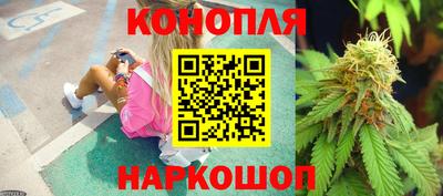 стафф Коммунар