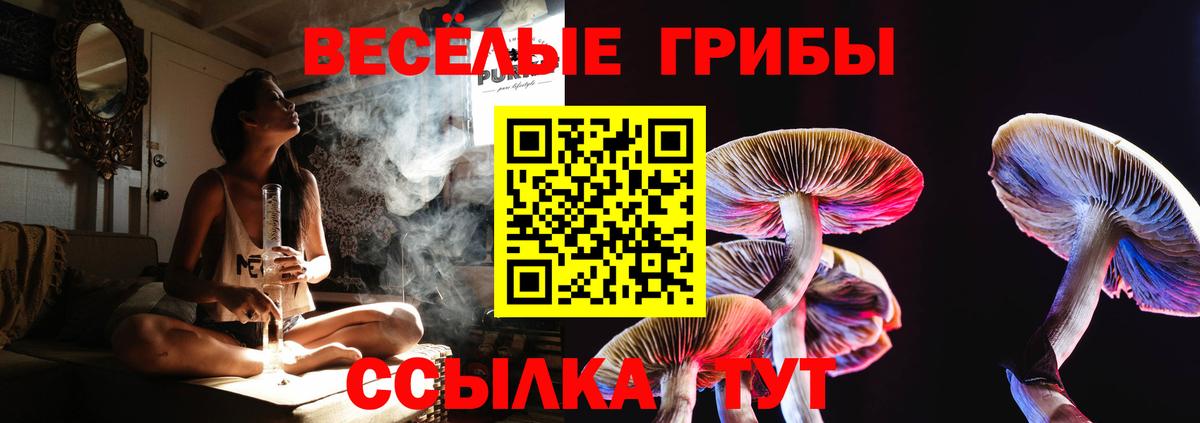 Псилоцибиновые грибы мухоморы Лабытнанги